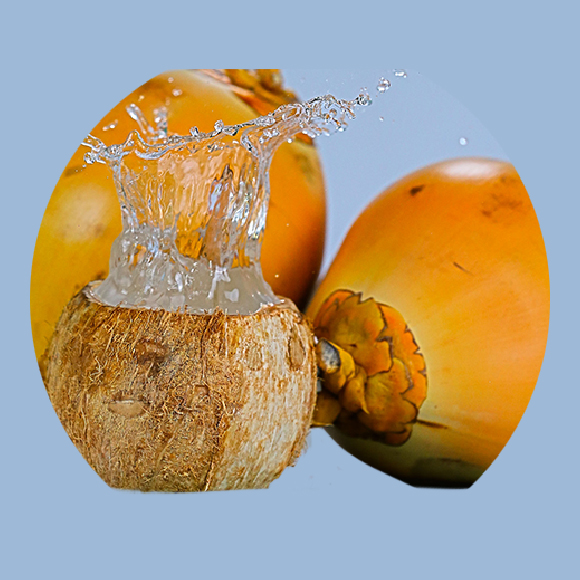 Chilled king coconut welcome drink